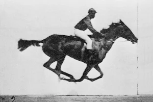 Cheval au galop photographié par Muybridge, image animée