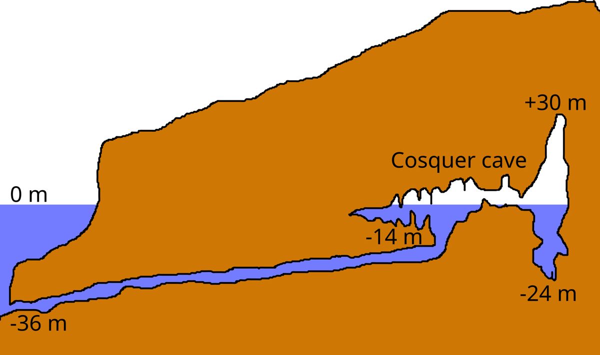 Coupe de la grotte Cosquer
