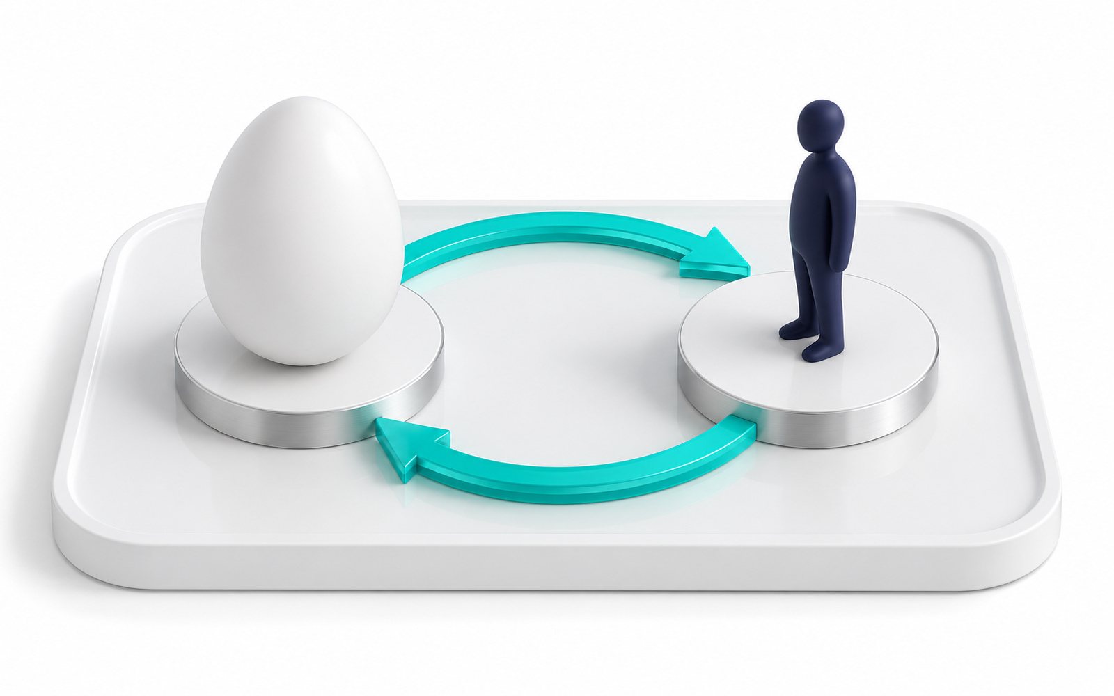 Un œuf géant et une figurine sur deux socles, reliés par une flèche circulaire.